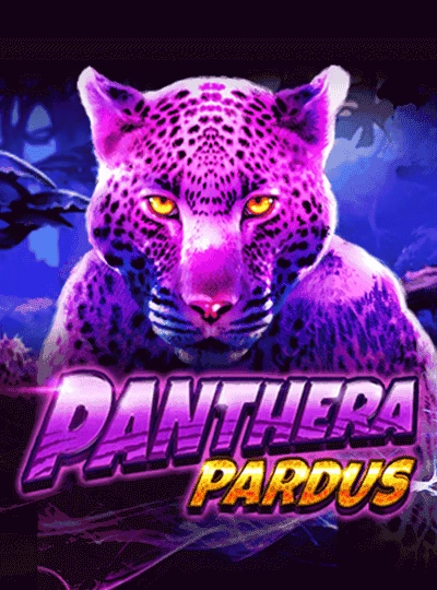 pnbet pnbet